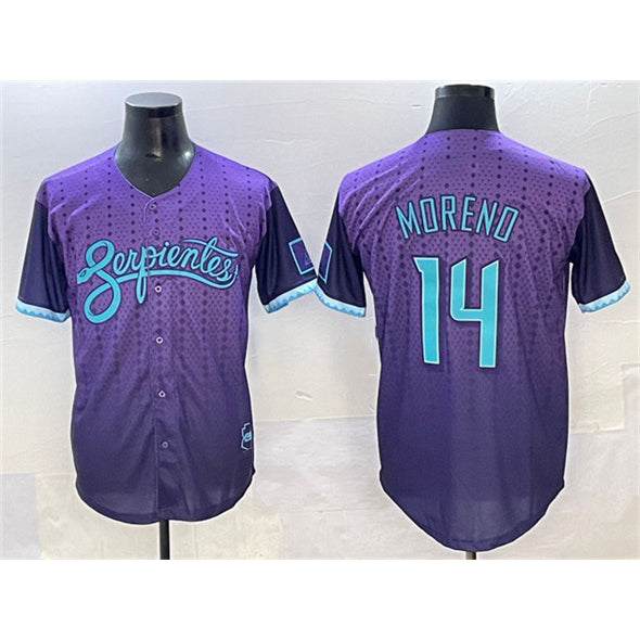 Arizona Diamondbacks #14 Gabriel Moreno Purple JEROMEN 2025 City Connect Limited Stitched Jersey