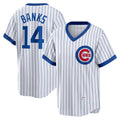 Chicago Cubs #14 Ernie Banks White JEROMEN Home Cooperstown Collection Player Jersey