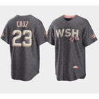Washington Nationals #23 Nelson Cruz 2022 Grey JEROMEN City Connect Cherry Blossom Cool Base Stitched Jersey