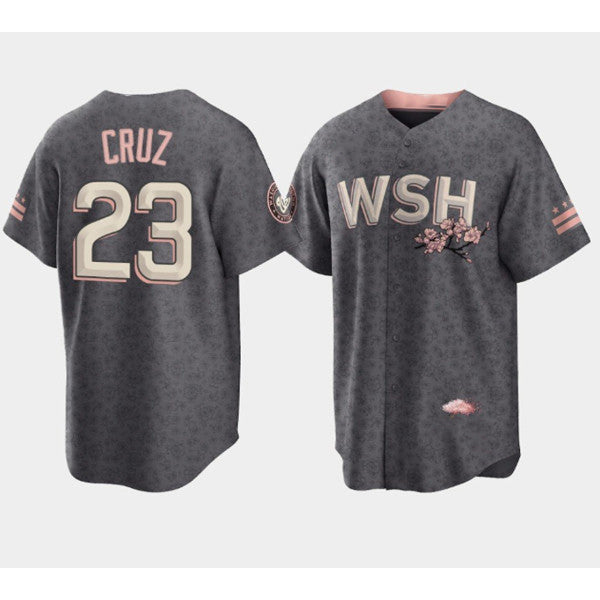Washington Nationals #23 Nelson Cruz 2022 Grey JEROMEN City Connect Cherry Blossom Cool Base Stitched Jersey