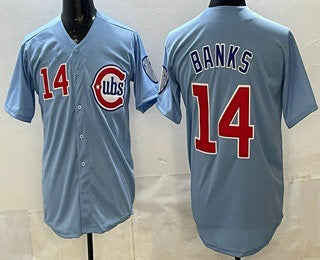 Chicago Cubs #14 Ernie Banks Baby Blue JEROMEN Limited Jersey